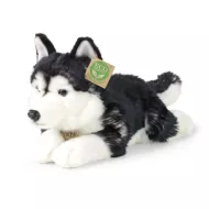 Plüss husky kutya - 36 cm - ECO-FRIENDLY - Rappa